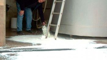 tamberos denunciaran a las usinas que no paguen el precio oficial tamberos denunciaran a las usinas que no paguen el precio oficial