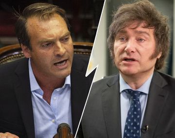 Payaso y chucky mal diagnosticado: críticas a Javier Milei en el Senado