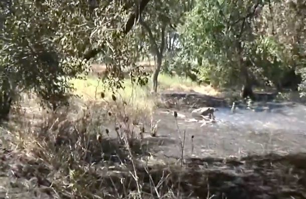 Crimen de dos adolescentes en Florencio Varela: vecinos denuncian que quemaron el campo donde aparecieron los chicos