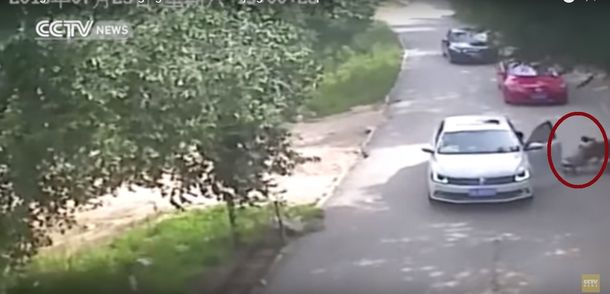 VIDEO: Difunden imágenes del ataque mortal de un tigre en un zoológico de China