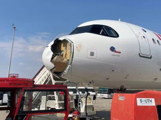 Terror en el aire: un ave obligó a un avión de Iberia a volver de urgencia a Madrid