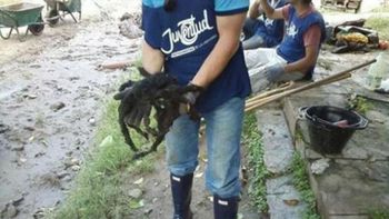 Foto: Crónica Foto: Crónica