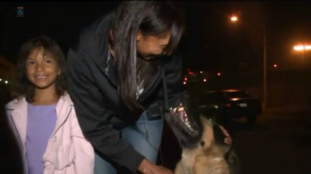 Así fue el reencuentro de una familia con su perro tras estar tres años separados