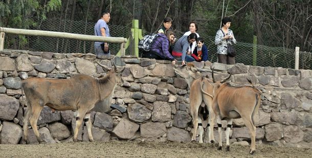 Mendoza: el ex zoo abre la inscripción para adoptar animales
