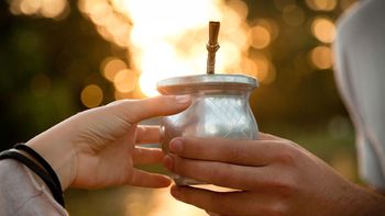 ¿sin mate? productores advierten que podria faltar yerba ¿sin mate? productores advierten que podria faltar yerba