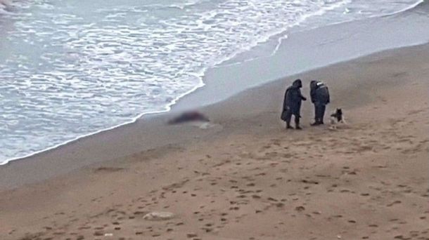 El cuerpo de la mujer fue encontrado en la costa