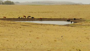 La emergencia agropecuaria había sido extendida hasta el 23 de septiembre. La emergencia agropecuaria había sido extendida hasta el 23 de septiembre.