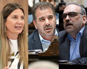 Lospennato votó en contra de los vetos