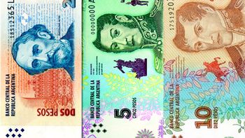 el nuevo billete de $20 tendra un guanaco el nuevo billete de $20 tendra un guanaco