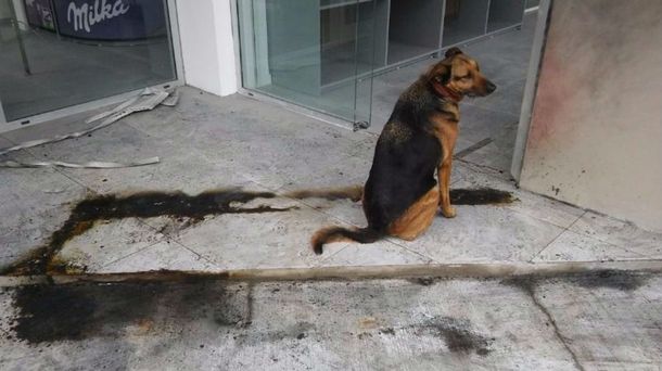 Vivía en la calle y un vecino enfurecido le quemó el colchón donde dormía