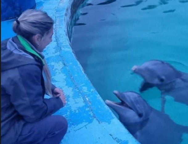 El Gobierno verificó el estado de los delfines de Aquarium Mar del Plata