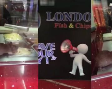 Clausuran un restaurante por video de rata comiendo del buffet