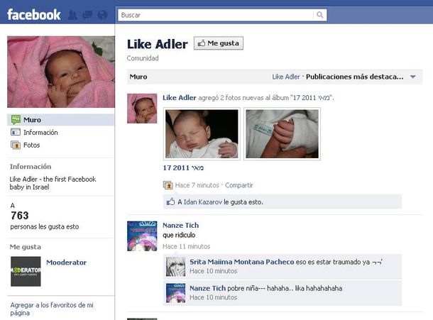 Like adler