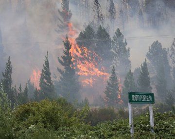 Epuyén: más de 2.000 hectáreas arrasadas por el incendio y más de 60 evacuados