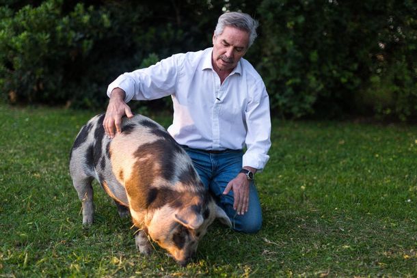 Felipe Solá y la Chancha Pelota