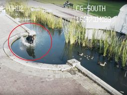 Una campaña de concientización para que no manejes usando el celular