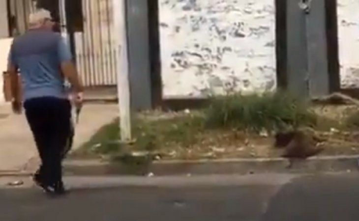 Intentaron linchar al asesino de un perro callejero en San Justo