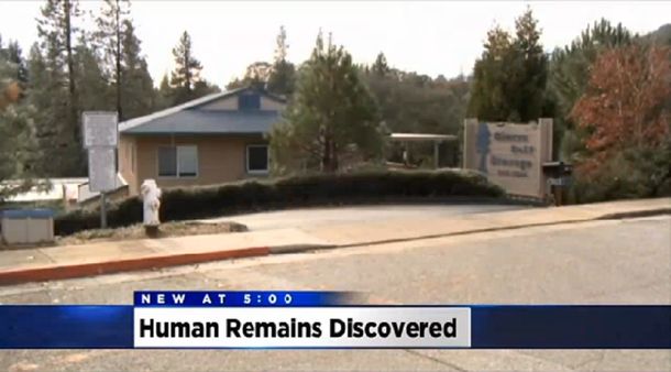 Compró un depósito en una subasta y encontró dos cadáveres de bebés adentro