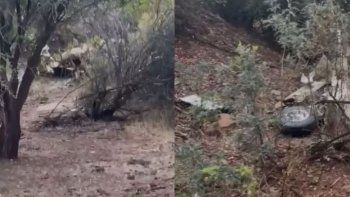 Tragedia aérea en Chile: murieron seis personas tras estrellarse una avioneta ambulancia