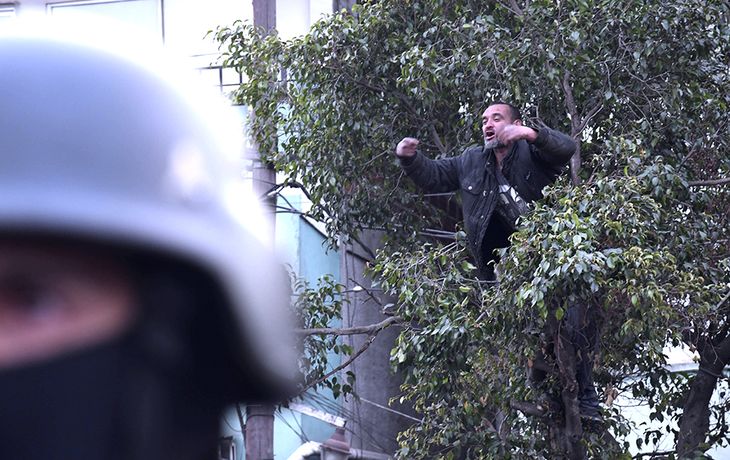 Hombre en el árbol