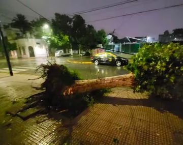 Temporal en el AMBA: la Secretaría de Energía dispuso medidas de emergencia