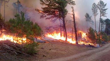 hay cuatro heridos graves por los incendios en cordoba hay cuatro heridos graves por los incendios en cordoba