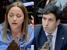 La corrección de Cecilia Moreau a un diputado libertario que se volvió viral La corrección de Cecilia Moreau a un diputado libertario que se volvió viral
