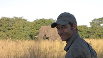 un leon mato a un guia de safari del parque nacional donde vivia cecil un leon mato a un guia de safari del parque nacional donde vivia cecil