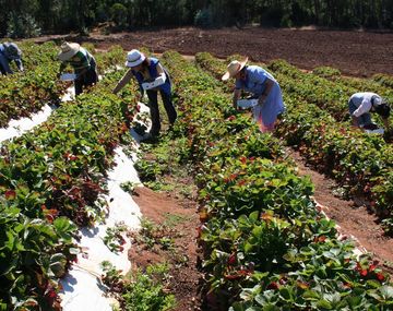 Alberto Fernández anunció un plan de inversiones para la agricultura familiar