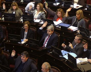 El Senado debate la reapertura del canje de deuda
