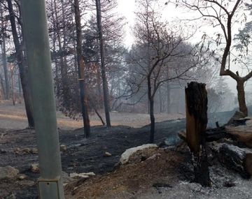 Incendios forestales en C&oacute;rdoba