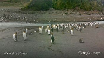 la britanica premier oil reduce proyecto en malvinas por caida del precio del petroleo la britanica premier oil reduce proyecto en malvinas por caida del precio del petroleo