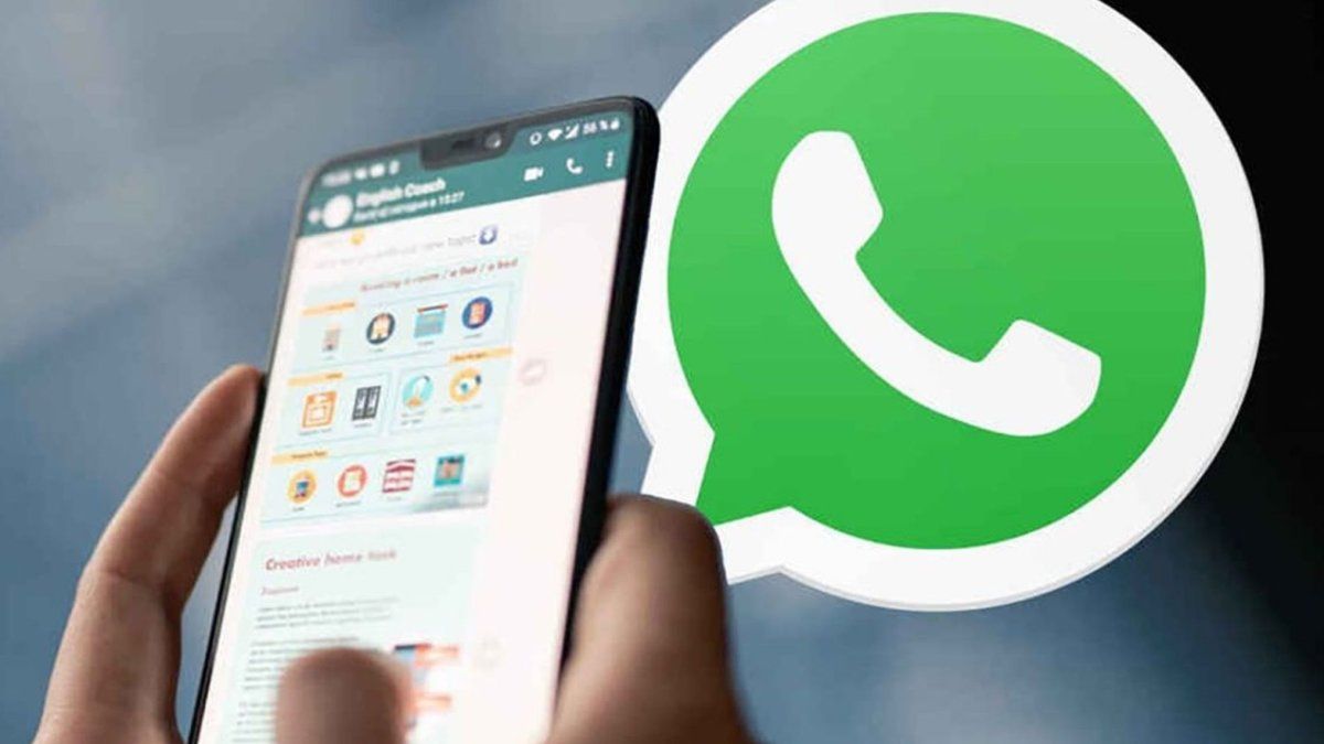 WhatsApp: de qué se trata contactos favoritos