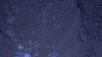 publican las primeras fotos nocturnas de curiosity en marte publican las primeras fotos nocturnas de curiosity en marte