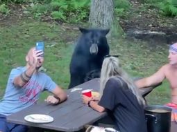 Se encontraron con un oso amigable y le dieron de comer