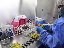 La vacuna contra el coronavirus se empezar&aacute; a producir en Argentina