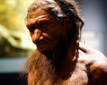 Un estudio revela que el mayor factor de riesgo para el coronavirus viene de los neandertales