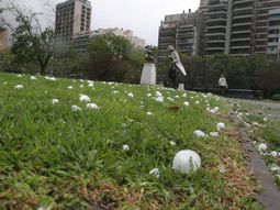Se vino la lluvia y hasta cayó granizo en algunas zonas del conurbano