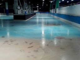 Las personas se quejaron por la decoración