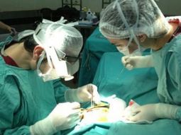 insolito: operan a una joven y le extraen mas de 12 mil dolares del estomago insolito: operan a una joven y le extraen mas de 12 mil dolares del estomago