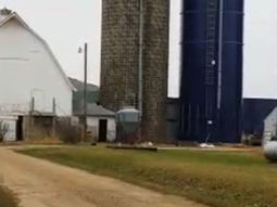 roban semen de toro por valor de u$s70.000 roban semen de toro por valor de u$s70.000