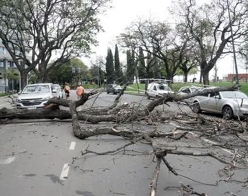 Foto gentileza La Capital