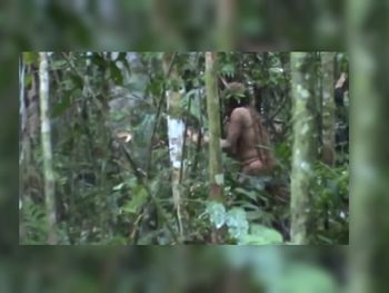 Lo encontraron machete en mano, viviendo de acuerdo a la tradición de sus ancestros