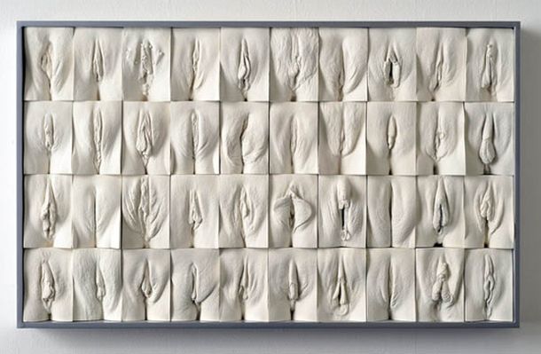 Vagina-panel