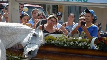 La imagen del caballo junto al féretro conmovió a todos La imagen del caballo junto al féretro conmovió a todos