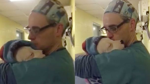 Un veterinario derritió la web con sus mimos a una perrita recién operada