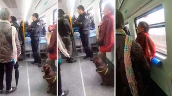 la insolita discusion entre pasajeros por un perro que solo queria viajar en tren la insolita discusion entre pasajeros por un perro que solo queria viajar en tren