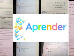 Se filtraron las preguntas de la Evaluación Nacional Aprender Se filtraron las preguntas de la Evaluación Nacional Aprender