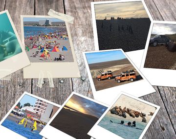 A 1300 kilómetros de Capital, Madryn ofrece un sinfín de actividades