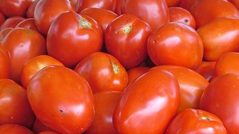 Tomates web Tomates web